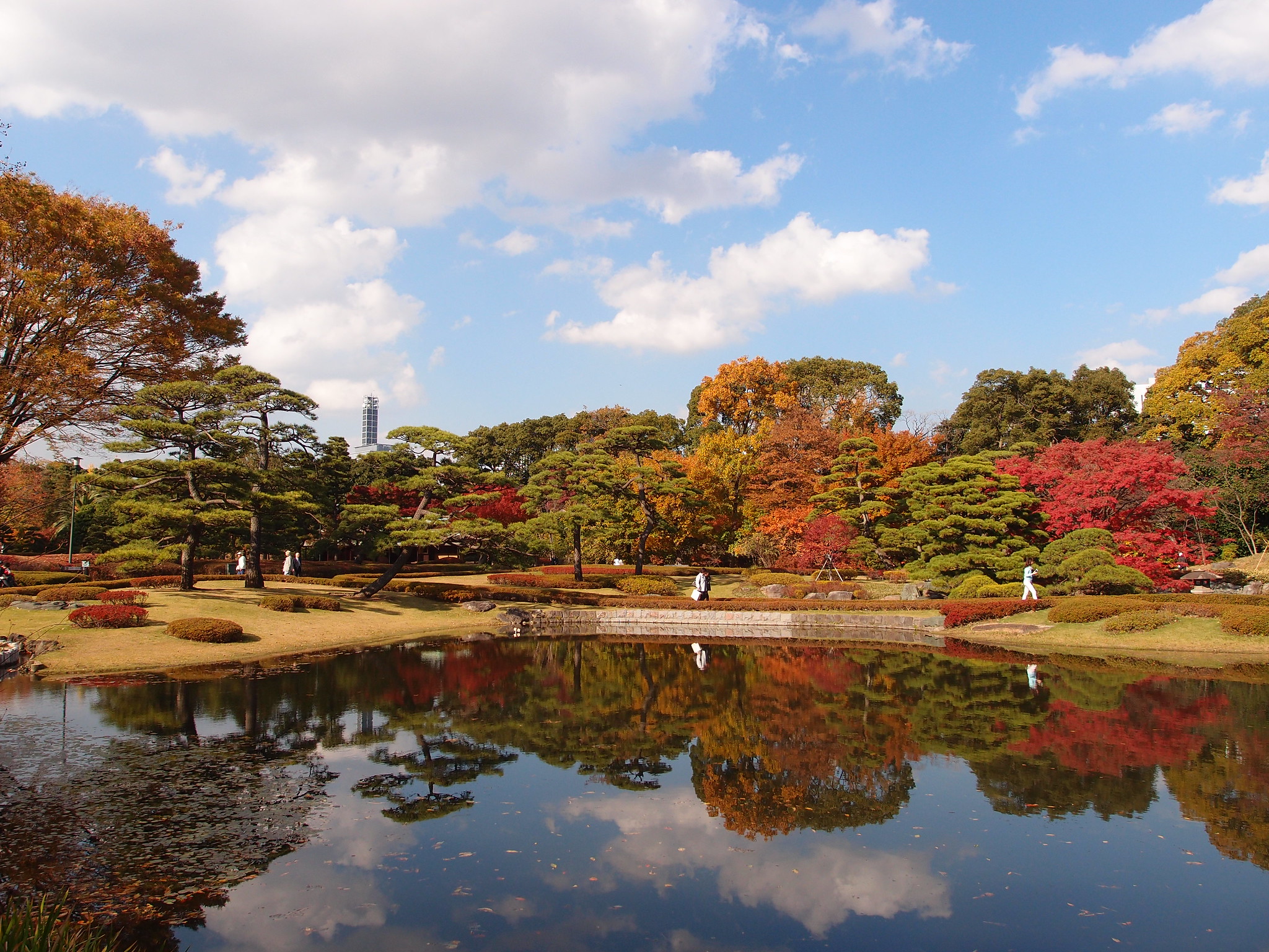 Pond @ Imperial Palace East Garden @ Tokyo